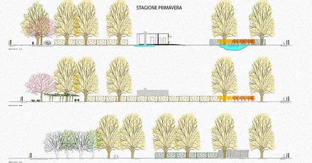 Progetto sistemazione dell’area esterna della Scuola Elementare A.Parravicini a Serravalle Comune di Vittorio Veneto (Tv).